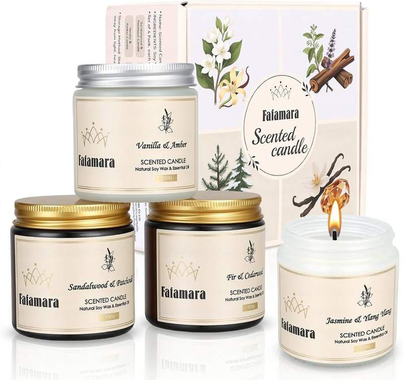 Fafamara Scented Candle Gift Set of 4, Frosted Glass Jars — glass jar scented candle