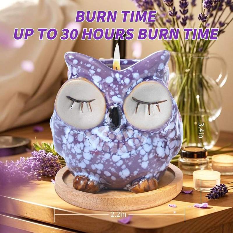 Fpathway Owl Lavender Candle — photo 5 of 14