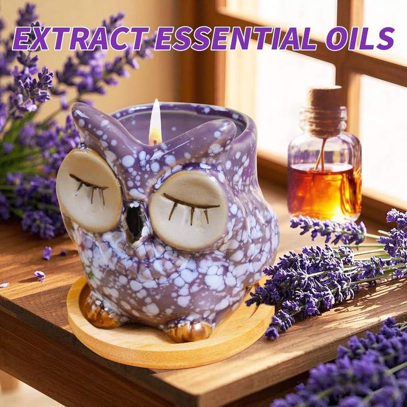 Fpathway Owl Lavender Candle — photo 7 of 14