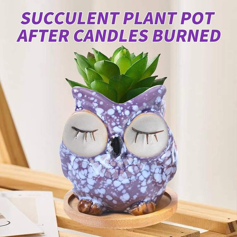 Fpathway Owl Lavender Candle — photo 11 of 14