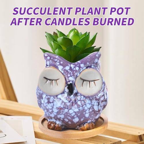 Fpathway Owl Lavender Candle — photo 12 of 14
