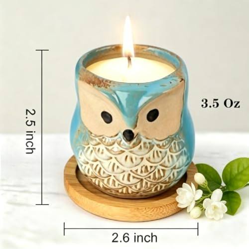 Kinforse Owl Scented Candle Gift Set of 6 — photo 4 of 14