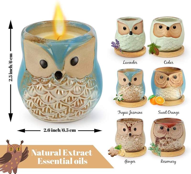 Kinforse Owl Scented Candle Gift Set of 6 — photo 5 of 14