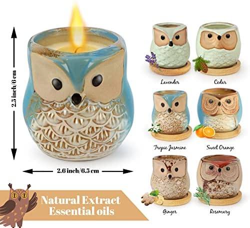 Kinforse Owl Scented Candle Gift Set of 6 — photo 6 of 14