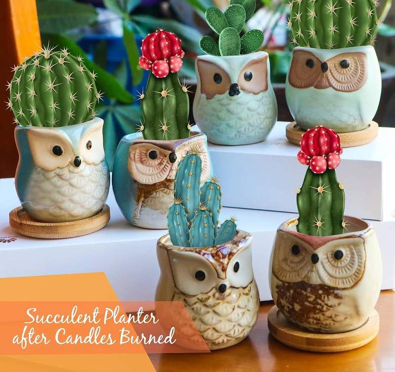Kinforse Owl Scented Candle Gift Set of 6 — photo 13 of 14