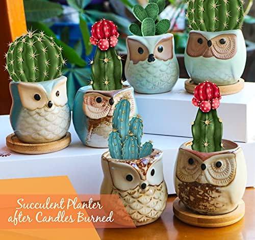 Kinforse Owl Scented Candle Gift Set of 6 — photo 14 of 14