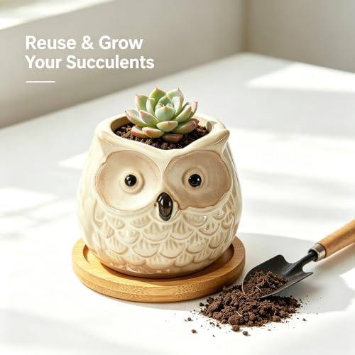 Kinforse Owl Sweet Orange Scented Candle — photo 14 of 16