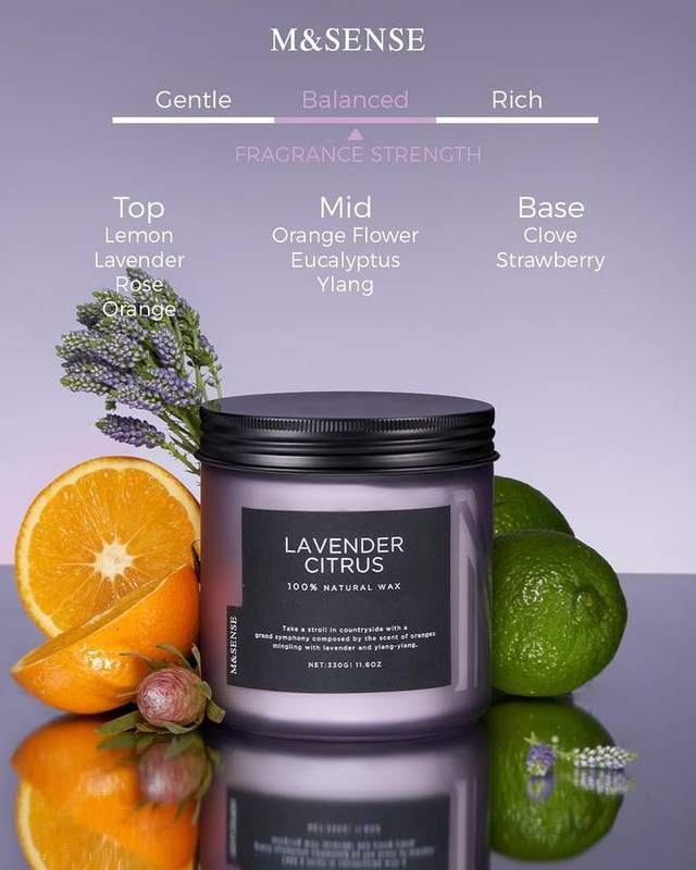 M&SENSE Lavender Citrus 2-Wick Candle, 11.6 oz — photo 3 of 18