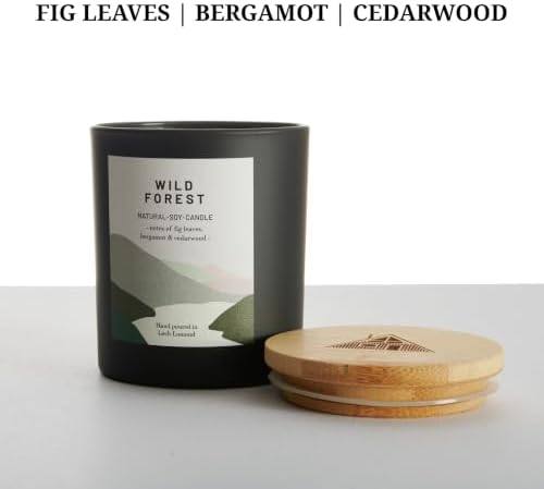 Ocoee House Wild Forest Candle, 450 g, Hand-Poured in Scotland — photo 4 of 20