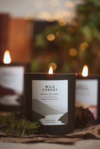 Ocoee House Wild Forest Candle, 450 g, Hand-Poured in Scotland — photo 8 of 20