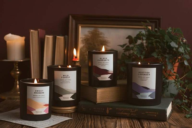 Ocoee House Wild Forest Candle, 450 g, Hand-Poured in Scotland — photo 15 of 20