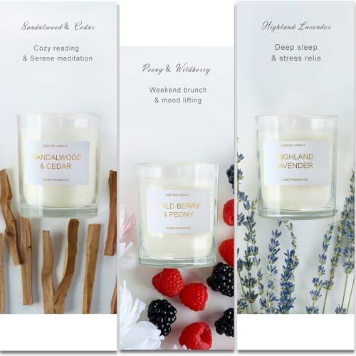 PROFIKLA Lavender, Peony & Berries, Sandalwood Candle Gift Set of 3 — photo 6 of 14