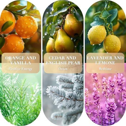 TRINIDa Scented Candle Gift Set of 3, 3.5 oz — photo 4 of 14