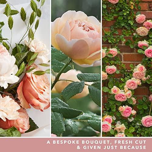 Yankee Candle Fresh Cut Roses Large Jar Candle — photo 4 of 24