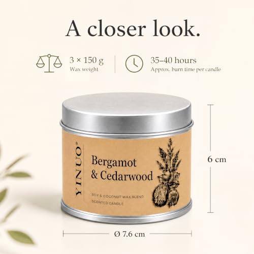 Yinuo Mirror Botanical Soy-Coconut Candle Gift Set of 3 — photo 10 of 16